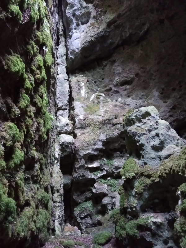 Le fond de la grande salle : c'est haut